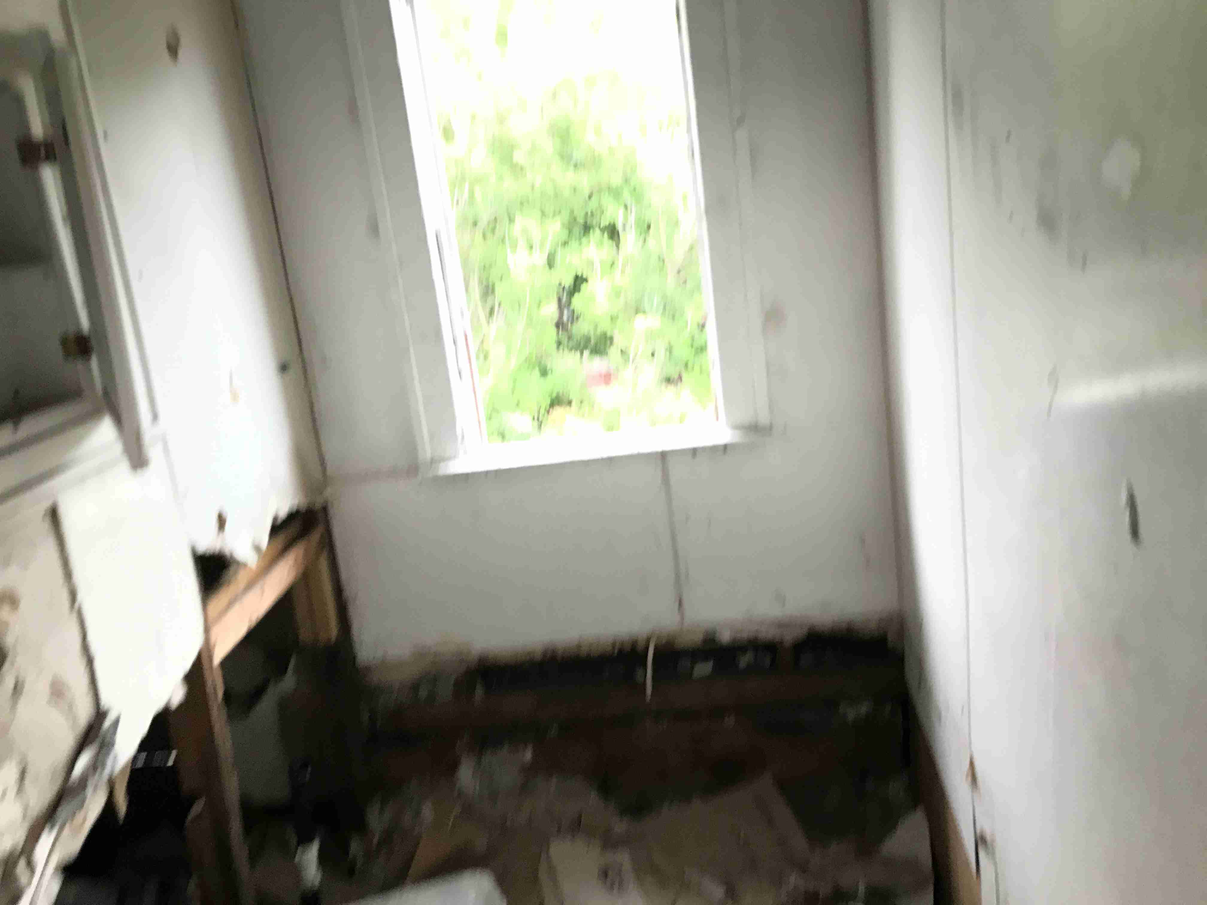 Photo Sep 10, 2 26 46 PM.jpg